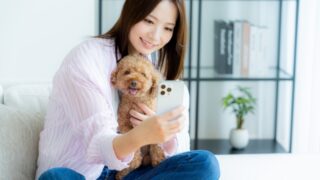 一発試験、みんなの体験談
